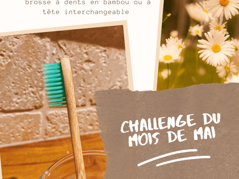 Challenge du mois de Mai : brosse à dents&nbsp;écologique