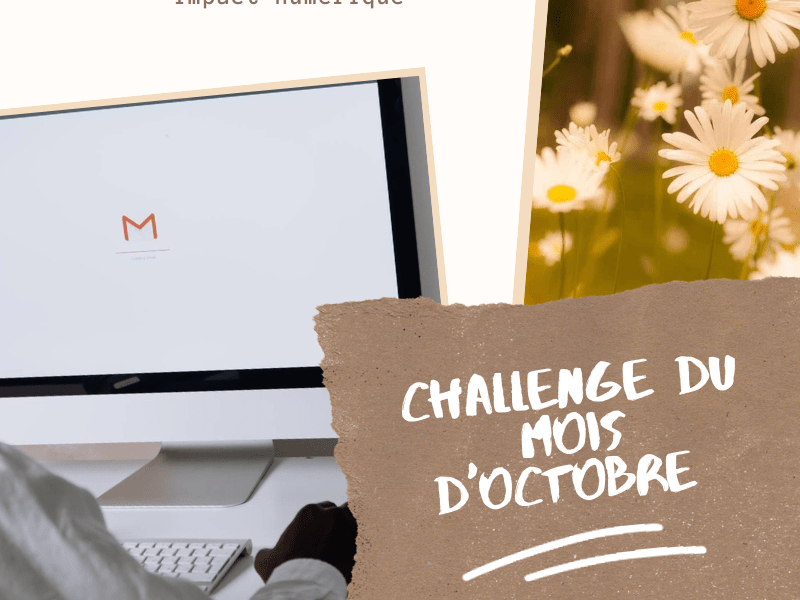 Challenge du mois d&rsquo;Octobre : réduire son impact&nbsp;numérique