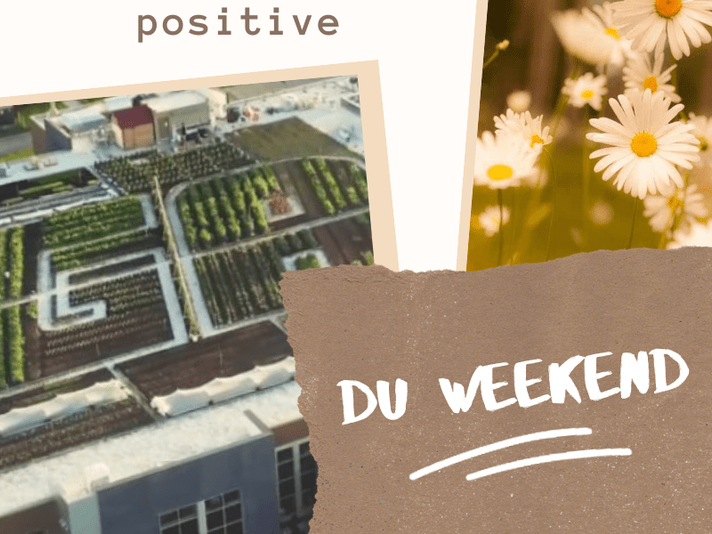 Chronique positive du&nbsp;weekend